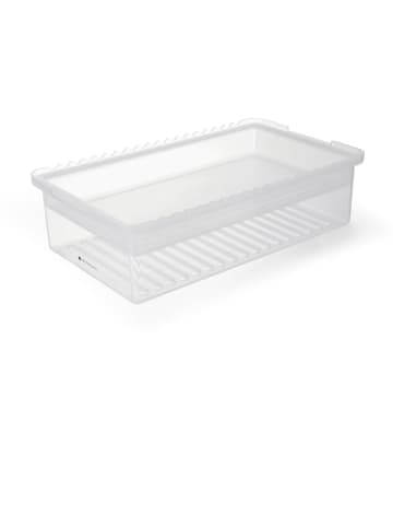 MasterClass Marinadenbox in Transparent - (B)37 x (H)10 cm