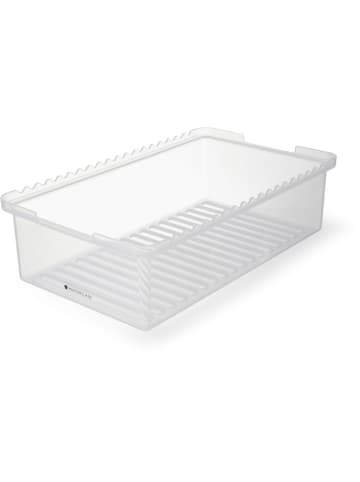 MasterClass Marinadenbox in Transparent - (B)37 x (H)10 cm