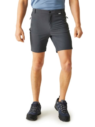 Regatta Funktionsshorts "Mountain II" in Grau
