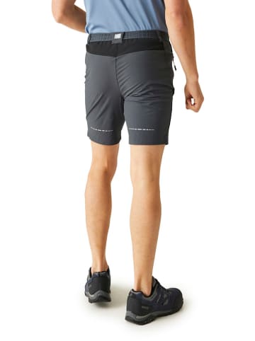 Regatta Funktionsshorts "Mountain II" in Grau