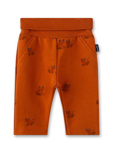 Sanetta Kidswear Sweathose in Orange