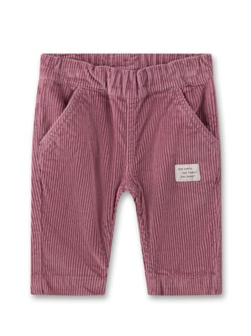 Sanetta Kidswear Spodnie sztruksowe w kolorze fioletowym