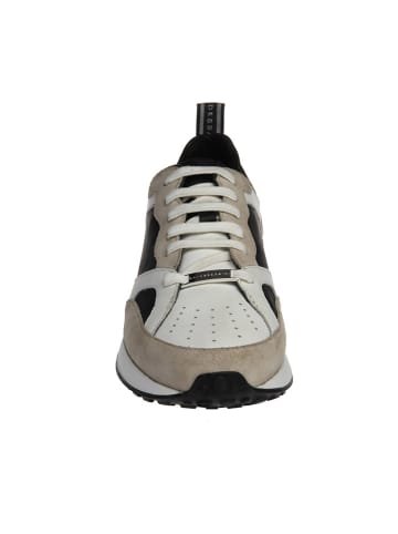 Baldessarini Leder-Sneakers "Jack" in Weiß/ Schwarz/ Beige