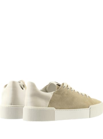Högl Leder-Sneakers in Beige