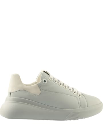Högl Skórzane sneakersy w kolorze błękitnym