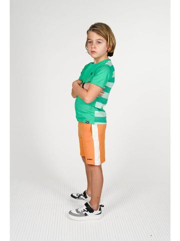 B.Nosy Shirt "Timmy" in Grün