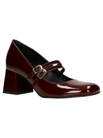 Wojas Leder-Pumps in Bordeaux