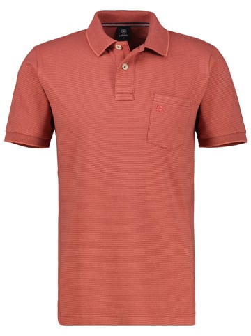 Lerros Koszulka polo w kolorze czerwonym