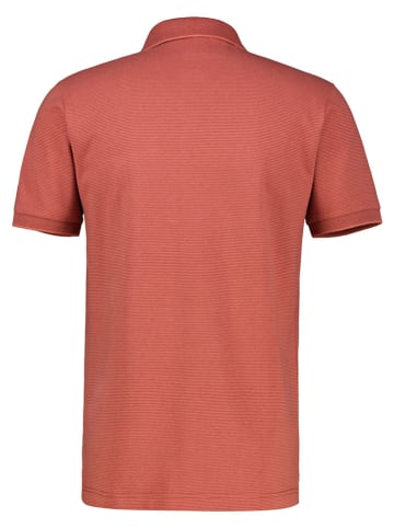 Lerros Poloshirts rood