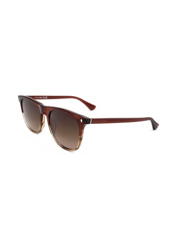 Web Damen-Sonnenbrille in Hellbraun/ Braun