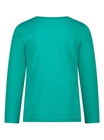 Topo Longsleeve in Grün