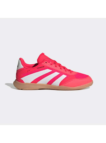 adidas Sneakersy "Predator League" w kolorze różowym