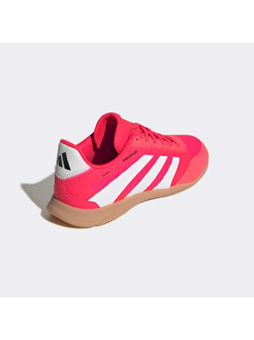 adidas Sneakersy "Predator League" w kolorze różowym