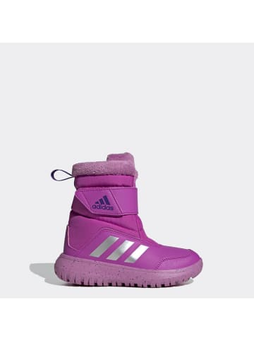 adidas Kozaki zimowe "Winterplay C" w kolorze fioletowym
