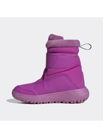 adidas Kozaki zimowe "Winterplay C" w kolorze fioletowym