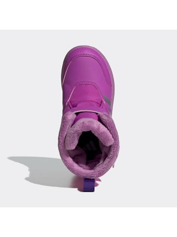 adidas Kozaki zimowe "Winterplay C" w kolorze fioletowym