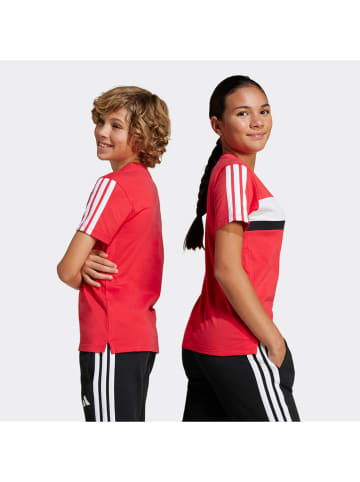 adidas Koszulka w kolorze różowym