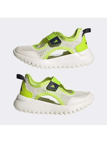 adidas Półsandały "SUMMERFLEX" w kolorze zielono-białym