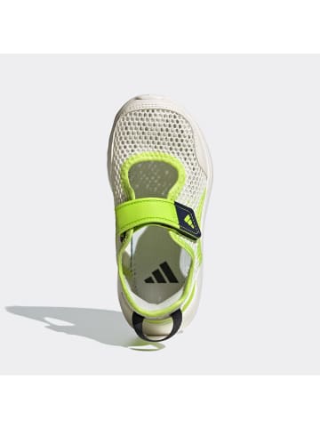 adidas Półsandały "SUMMERFLEX" w kolorze zielono-białym