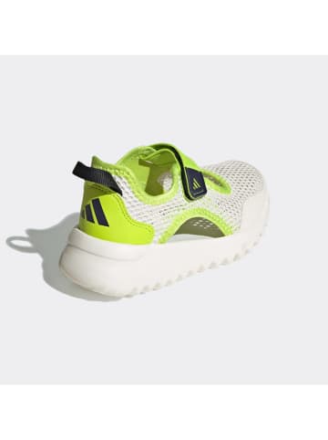 adidas Enkelsandalen "SUMMERFLEX" groen/wit