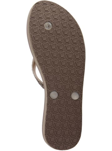 Reef Zehentrenner in Taupe