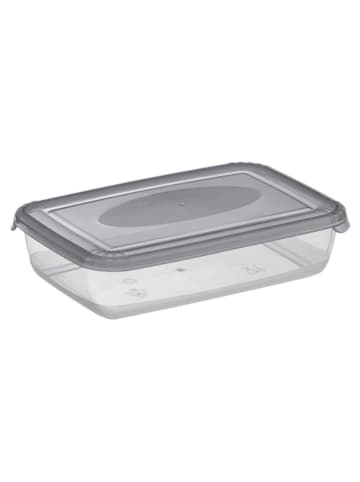 Plast Team Frischhaltedose in Grau - (B)16,5 x (H)4 x (T)10,8 cm