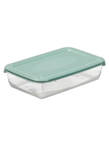 Plast Team Frischhaltedose in Grün - (B)16,5 x (H)4 x (T)10,8 cm