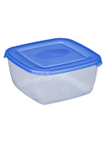 Plast Team Vershouddoos transparant/blauw - (B)14,5 x (H)7,1 x (D)14,5 cm