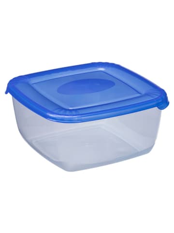 Plast Team Pojemnik w kolorze niebieskim - 17 x 8,3 x 17 cm