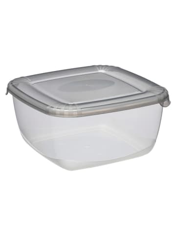 Plast Team Pojemnik w kolorze szarym - 20 x 9,9 x 20 cm