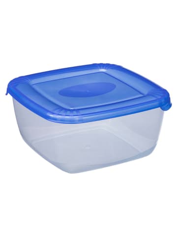 Plast Team Frischhaltedose in Blau - (B)20 x (H)9,9 x (T)20 cm