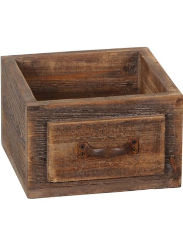 POSIWIO Opbergkist "Lade" bruin - (B)20 x (H)12 x (D)19 cm