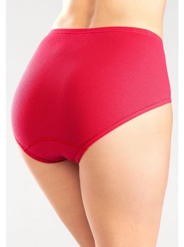 PETITE FLEUR Figi high waist (5 par) w różnych kolorach