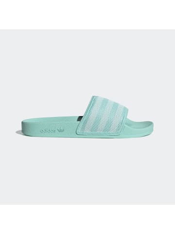 adidas Pantoletten in Türkis