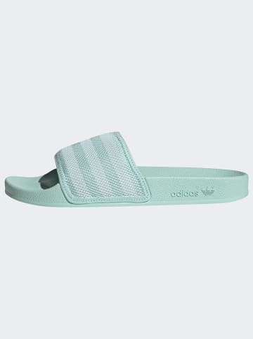 adidas Pantoletten in Türkis