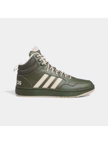 adidas Sneakers in Khaki