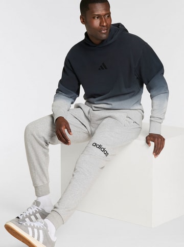 adidas Sweathose in Grau