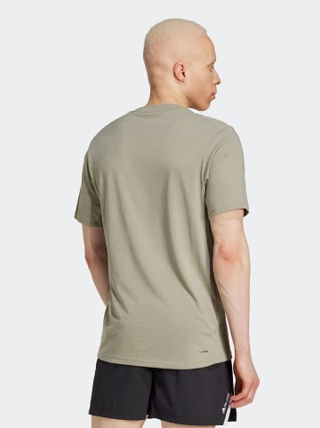 adidas Koszulka w kolorze khaki