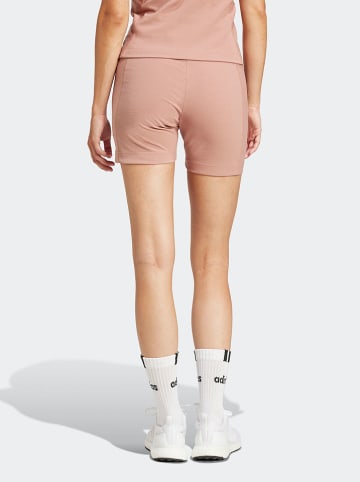 adidas Shorts in Rosa