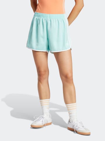 adidas Shorts in Türkis