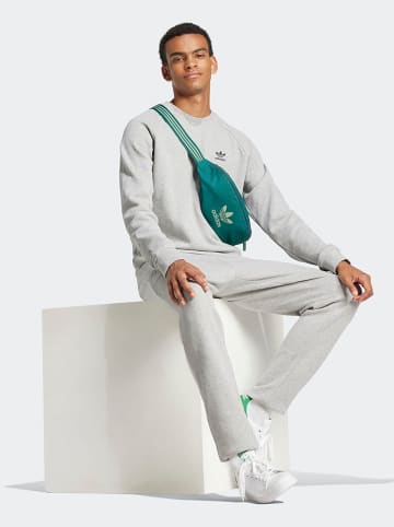 adidas Spodnie dresowe w kolorze szarym