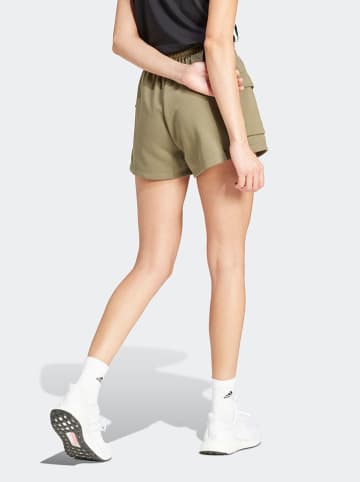 adidas Sweatshorts in Khaki