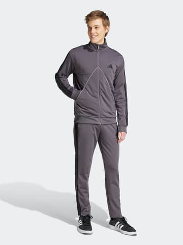 adidas 2-delige outfit grijs