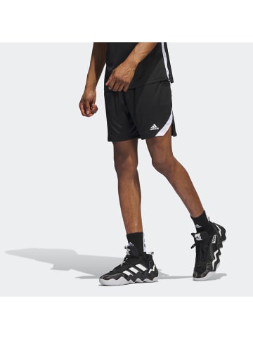 adidas Funktionsshorts in Schwarz