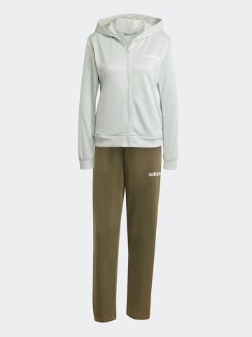 adidas 2-delige outfit kaki/groen