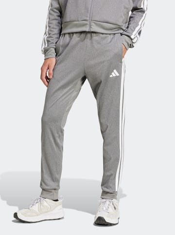 adidas Sweathose in Grau