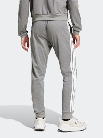 adidas Sweathose in Grau