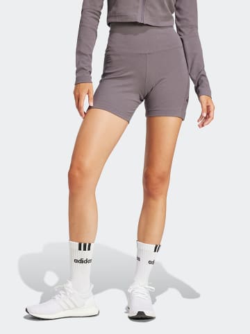 adidas Shorts in Grau