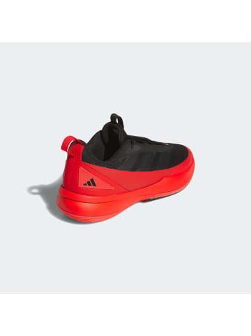 adidas Basketballschuhe in Rot/ Schwarz