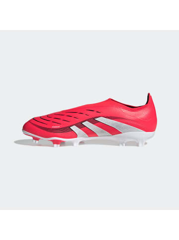 adidas Voetbalschoenen roze